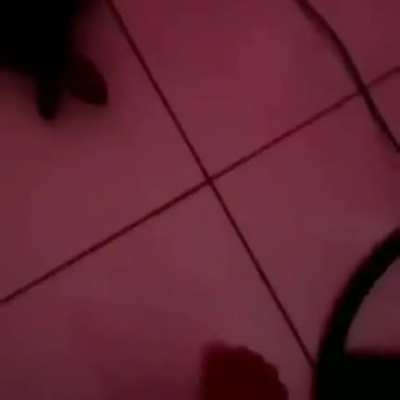 Filha da p****!!!!
