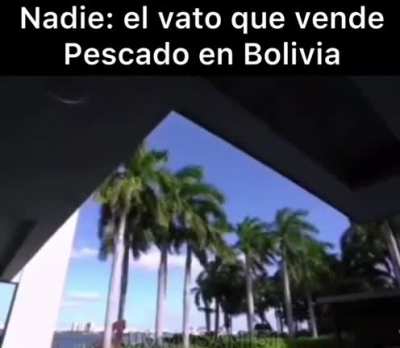 Alto capo 🤡🤡