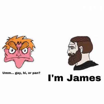 Gay,bi,pan? I&rsquo;m James!