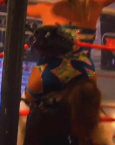 Stinkface Taya Valkyrie in Faby Apache