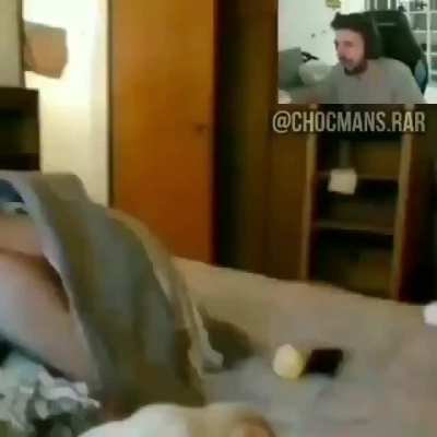 Madre mía Willy