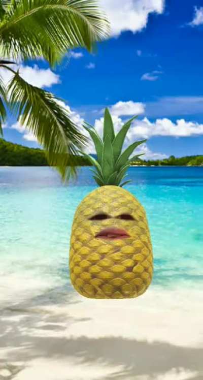 Sponge