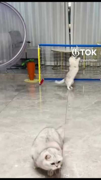 Unexpected Head ball