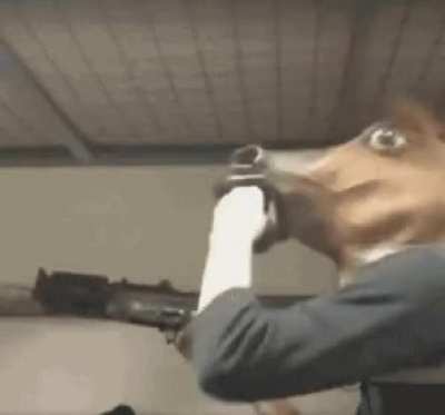 Thanks I hate the tacticool horse