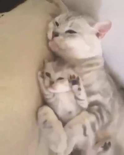 Немного милоты