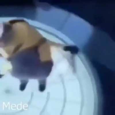 UUUAAA