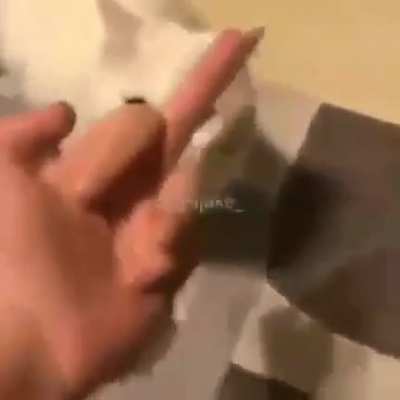 Reclamou tomou na cara