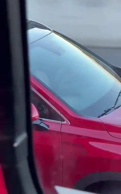 Woman plays with herself while driving car