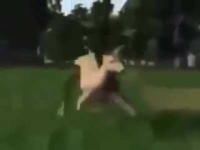 2011 BANDICAM