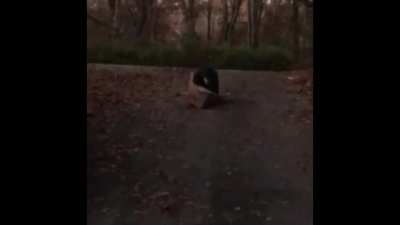 What Could Go Wrong Riding A Soapbox The Wrong Way