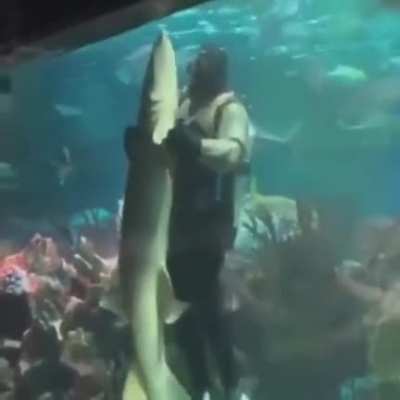 Shall I have this dance?