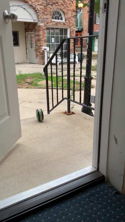Sens&rsquo; gadget will go to Narnia if it hits a Bump&hellip;