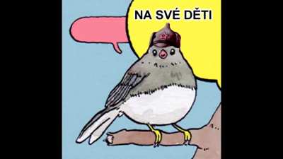 dal&scaron;&iacute; kraden&yacute; mem&iacute;k