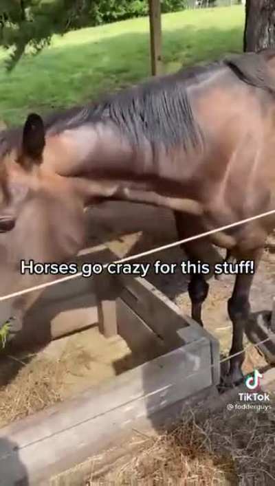 &ldquo;This grass is gas!&rdquo;