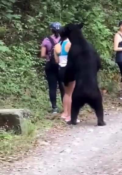 Women encounter a black bear&hellip;