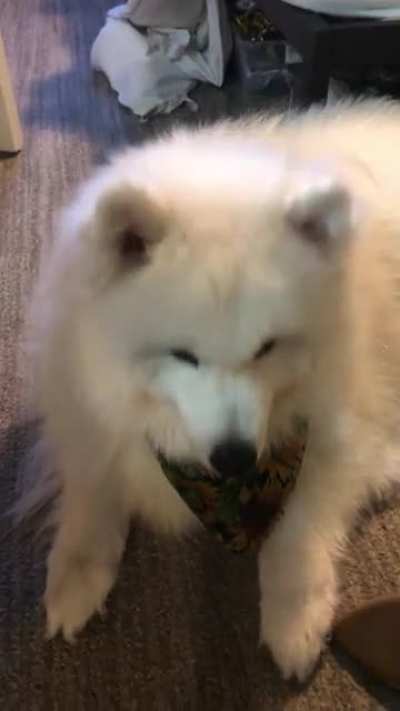Hiccups (sound on)
