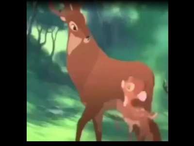 Nice montage
