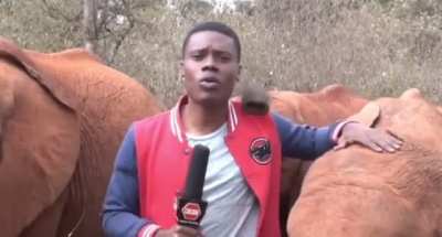 Interrupting a news reporter 