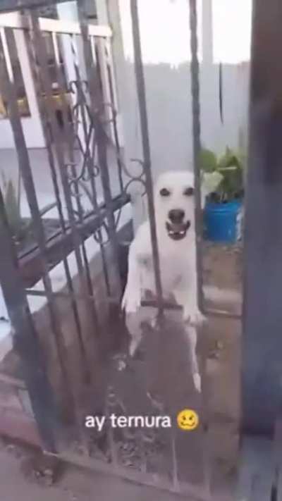 &ETH;&Ntilde;&Ntilde;&ETH;&micro;&Ntilde;&ETH;&micro;&ETH;&sup3;&ETH;&deg;&ETH;&sup1;&Ntilde;&ETH;&micro;&Ntilde;&Ntilde; &Ntilde;&ETH;&frac34;&ETH;&plusmn;&ETH;&deg;&ETH;&ordm;&ETH;&cedil;