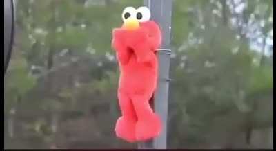 Elmo moment