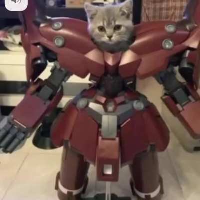 Mecha Kitty, Defender of Felines (Phase I)