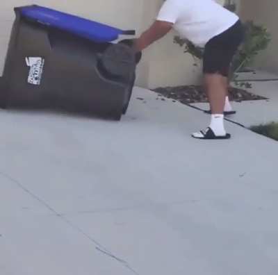 Man captured an alligator using a trash can