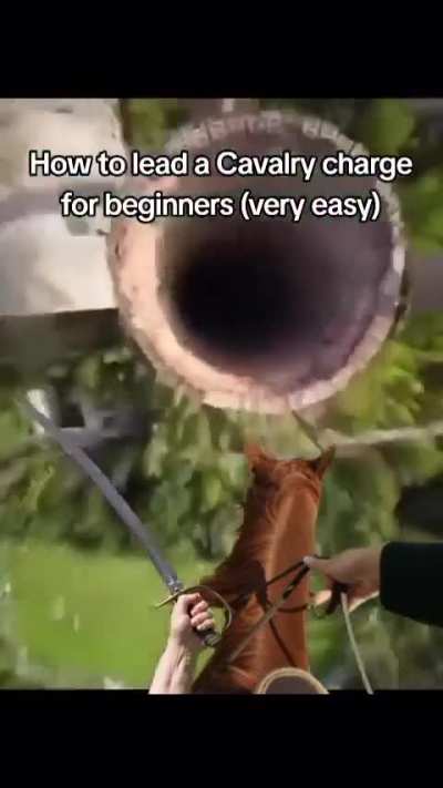 That one Shadesmar scene
