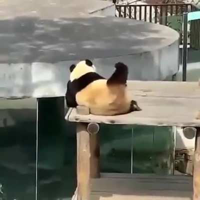 Чёс-чёс...
