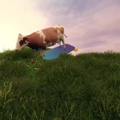 [oc] surfing cow