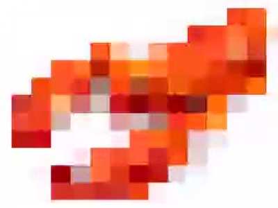 lobster