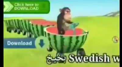 arab monke