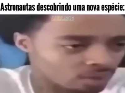 Nova esp&eacute;cie