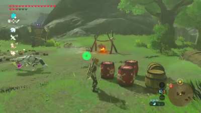 When you and a bokoblin share the same brain cell