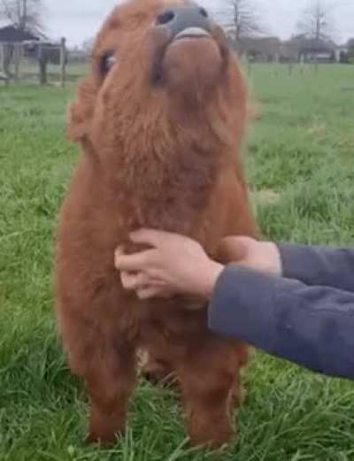 Little baby