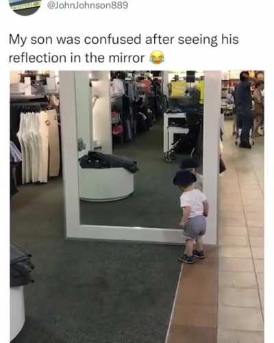 not stupid but cute
