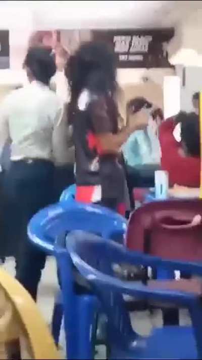 Cat fight