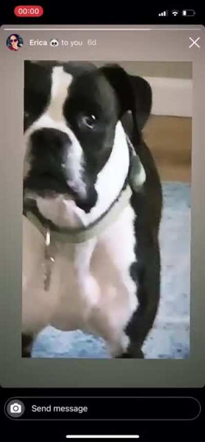 What is she&rsquo;s sad?!?! RUFF!!!!