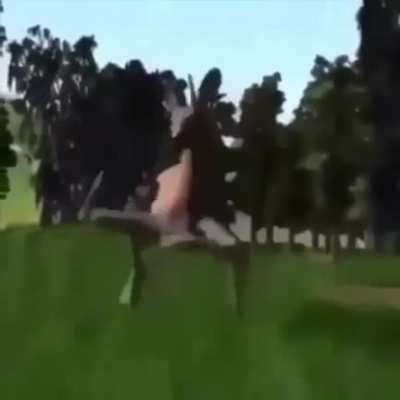 Deer dance