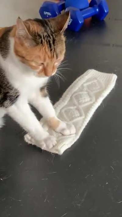 Morning workout routine
