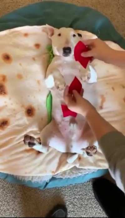 Woof irl