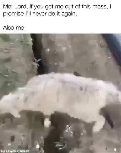 We live in a fallen world