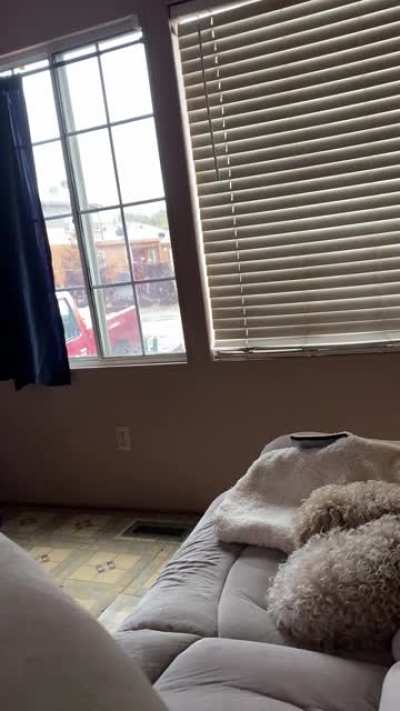Enjoying the rain with my lovely dog 🐶 (turn the volume up to hear the rain)