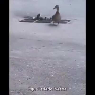 No se porque me da risa