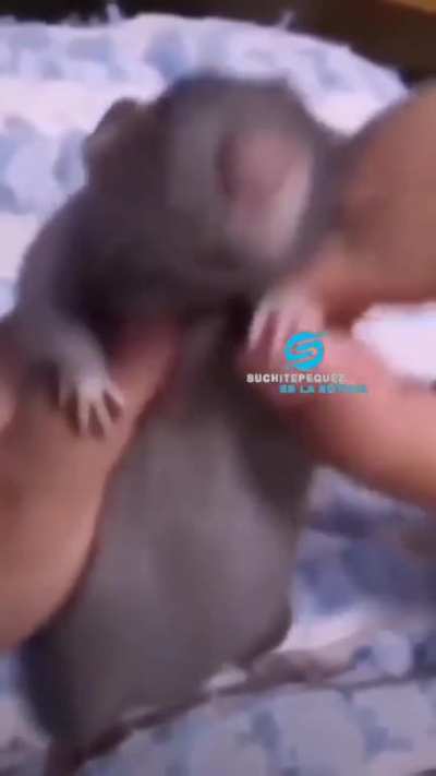 Jugador de frifai captado en c&aacute;mara bailando una vaina loca *buscar*