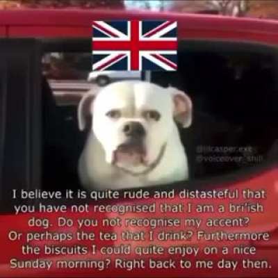 Bri ish cos the americans frew de 't' in de ocean