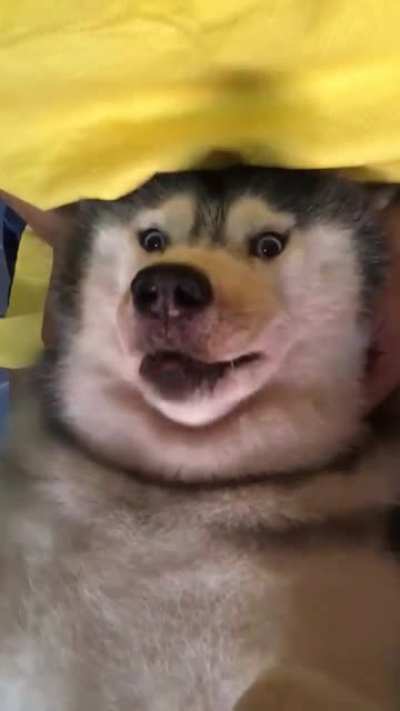 That tongue though