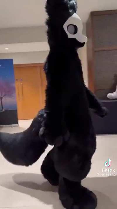 Furry_irl
