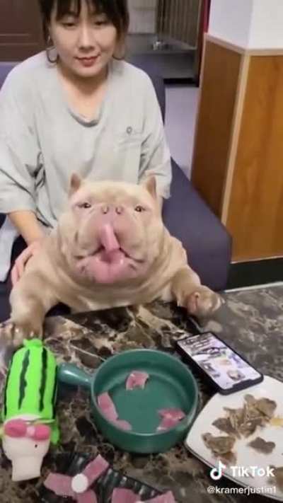 Still best boi