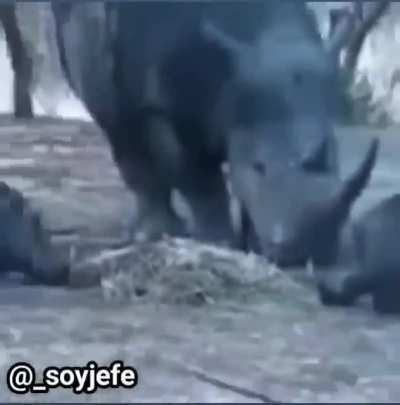 Bye