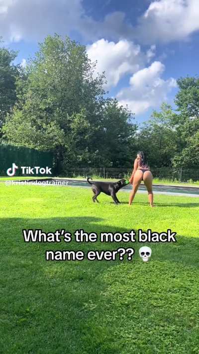 @kristindogtrainer